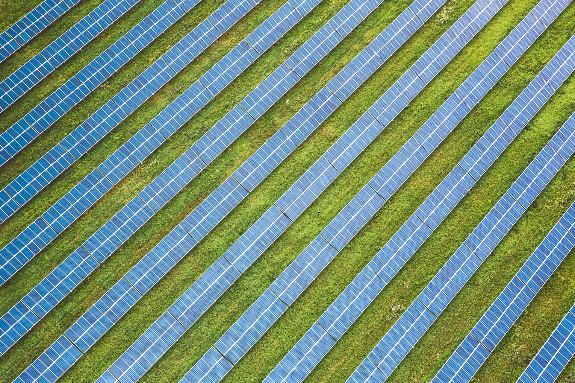 A field of solar panels